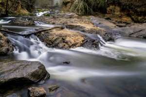 Reed Creek Waterfall at Savannah Rapids Park GA 1264